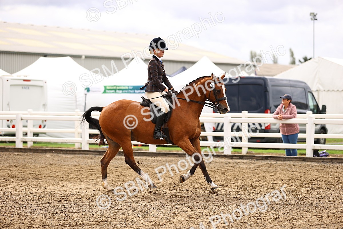 SBM_00560 - Class 53 - Ridden Competition Horse Pony