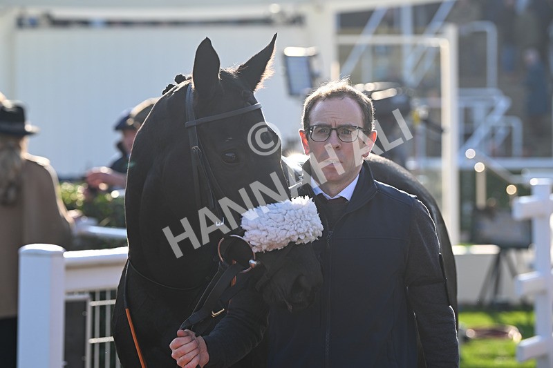 151124-Race 1-Paddock-Young Lucy-7239 - Race 1