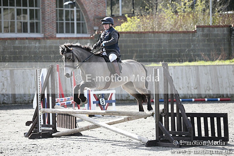 BVRC SJ 170319 194 - Bourne Valley Riding Club Showjumping 17/03/19