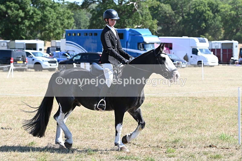WJ6_8208 - Class 37a Best Loan Pony Ridden