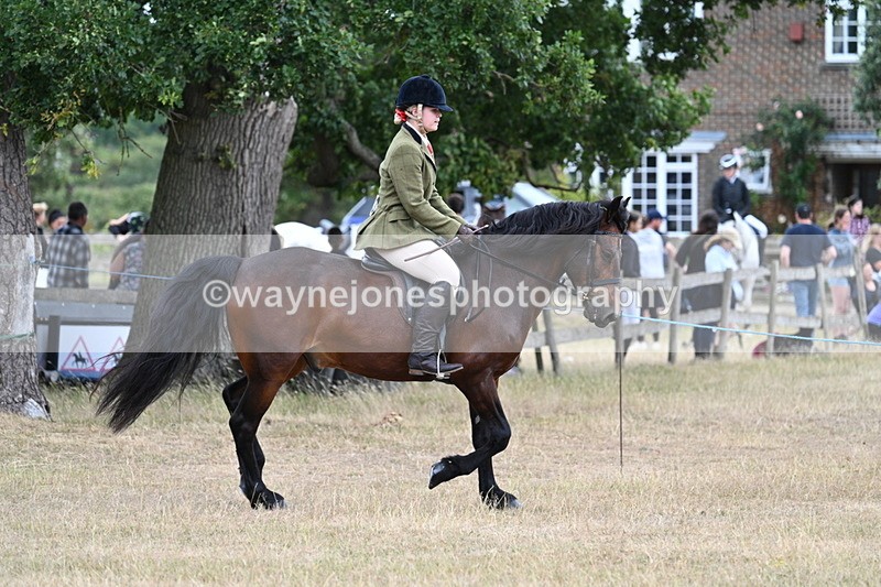 WJ7_0597 - Class 6 Ridden Mountain and Moorland
