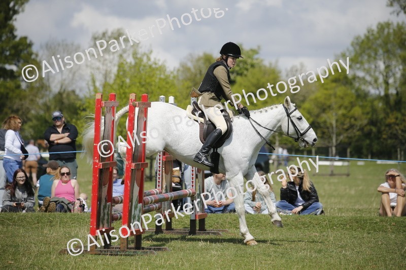 20250427-3640 - Class 14 - Absolute Novice 70cm