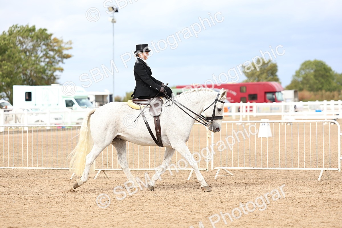 SBM_03399 - Class 24 - SSA Concours d'elegance (any age)