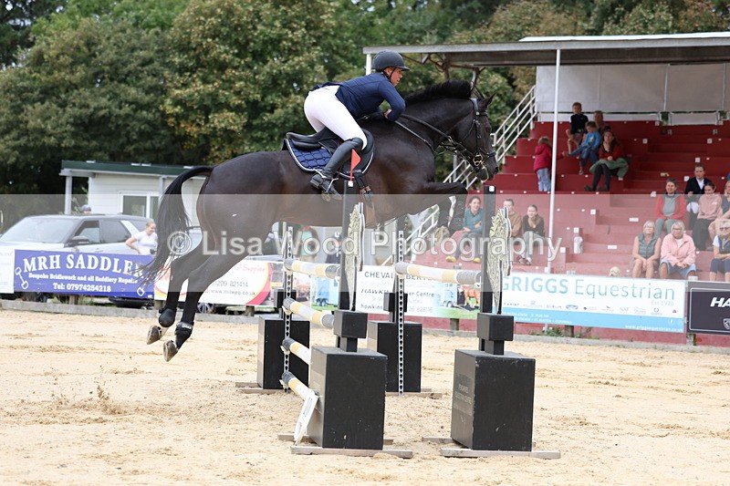 3E7A3300 - Class 9: Senior Foxhunter/1.20 open