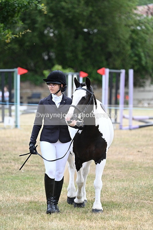 WJ7_1420 - Class 4 Prettiest Mare up to 14.2hh in hand