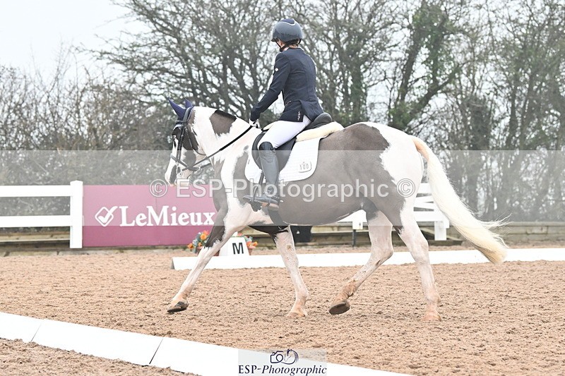 240217A-121007-02130 - 100-Gemma.Pine-Major.IV