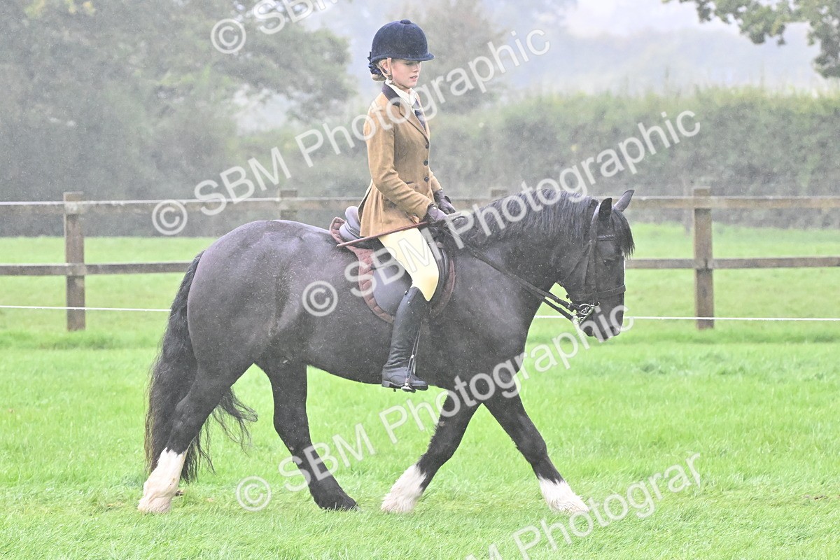 SBM_72417 - S43 - Ridden Equitation Best Rider