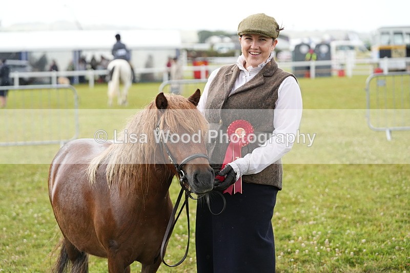 DSC04643 - Class 46: NPS Shetland Youngstock