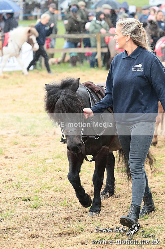 SHETPR 210425 30 - Shetland Ponies Paxford Races 21/04/25