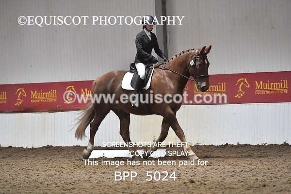 BPP_5024 - INTRO TEST 3