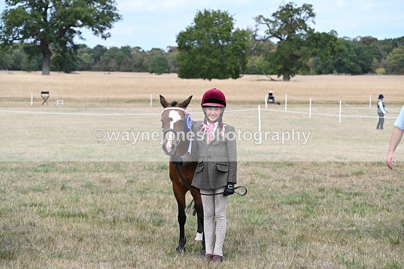 WJ6_6276 - Class 19 In-hand Veterans (Uploaded correct folder)