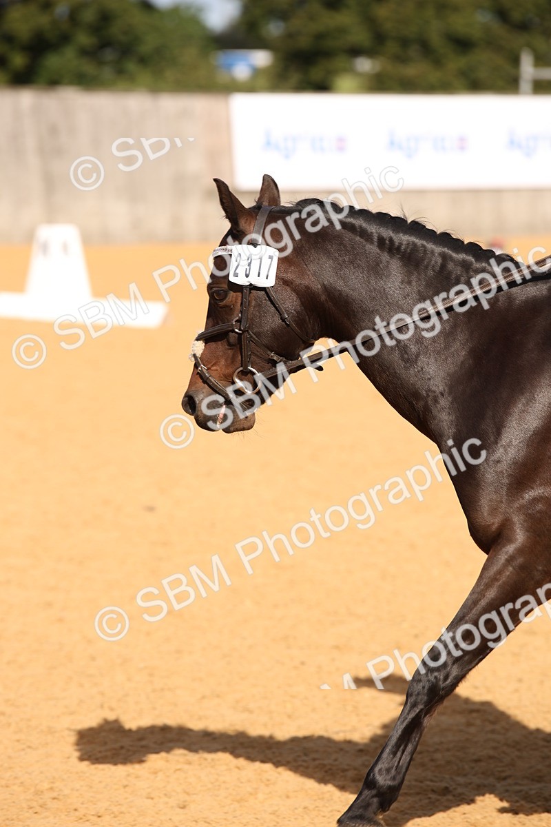 SBM_01973 - D2 Small Tour Championship Intro C