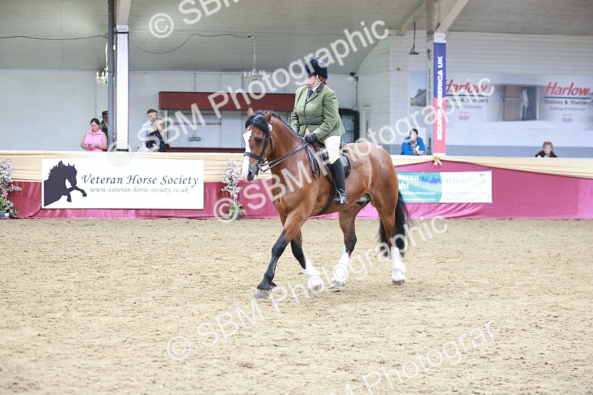 SBM_08948 - Class 12R - Regional Ridden Pre-Vet