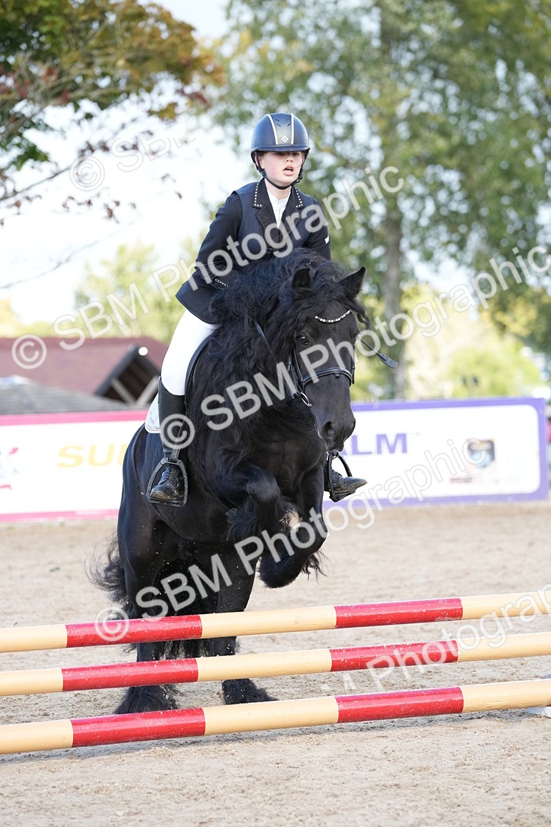 SBM_17902 - J58 - Clear Round 50cm