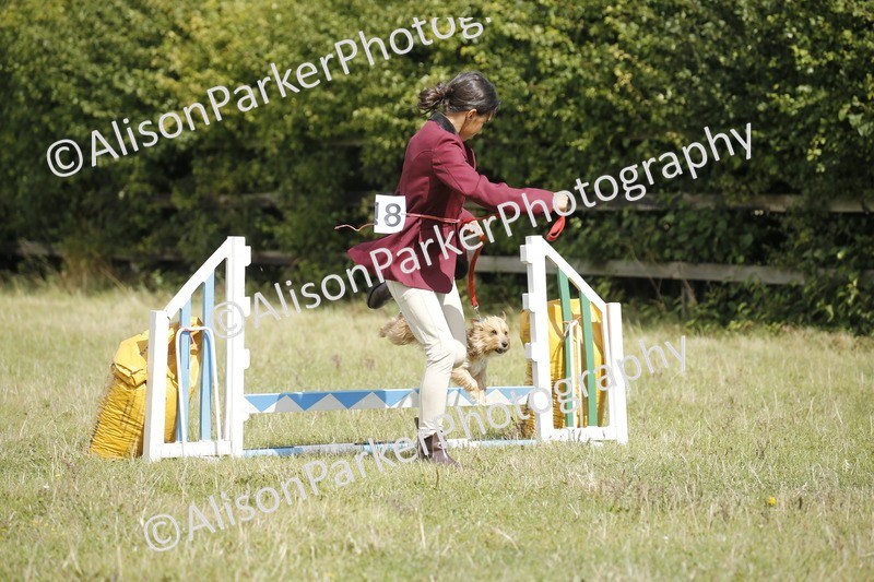 20250831-3827 - Dog Show