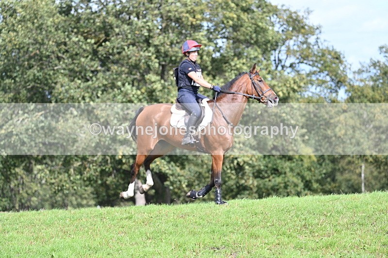 WJ7_2003 - Time 13:17 to 13:53