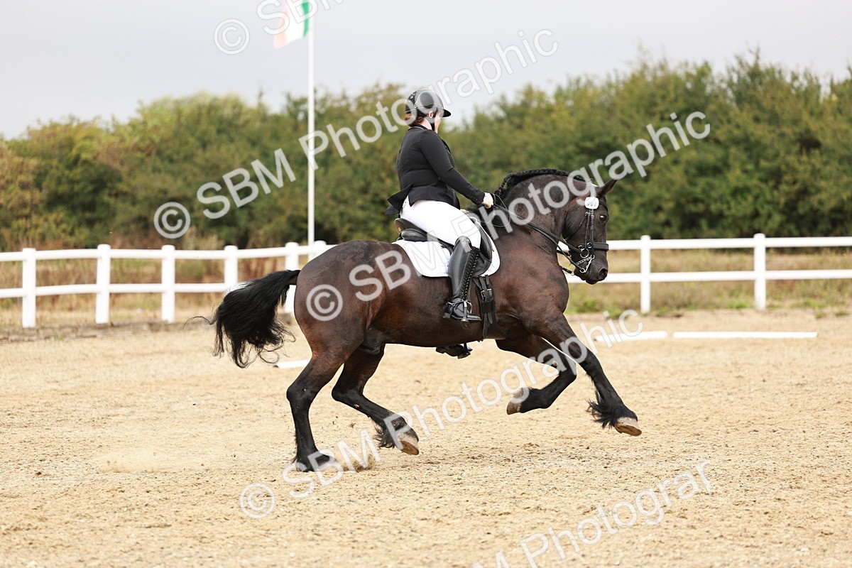 SBM_001900 - Class 8-11 - N2 E1 Warm Up - 12.27-12.59