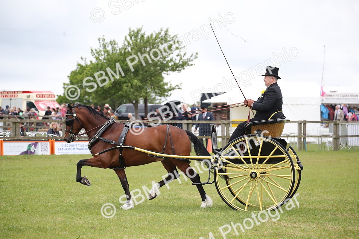 SBM_05757 - Class 12-15 - HOYS Private Driving