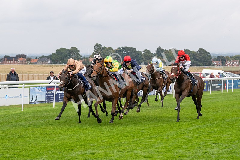 240924-Race 2-The Trickster-5928 - Race 2