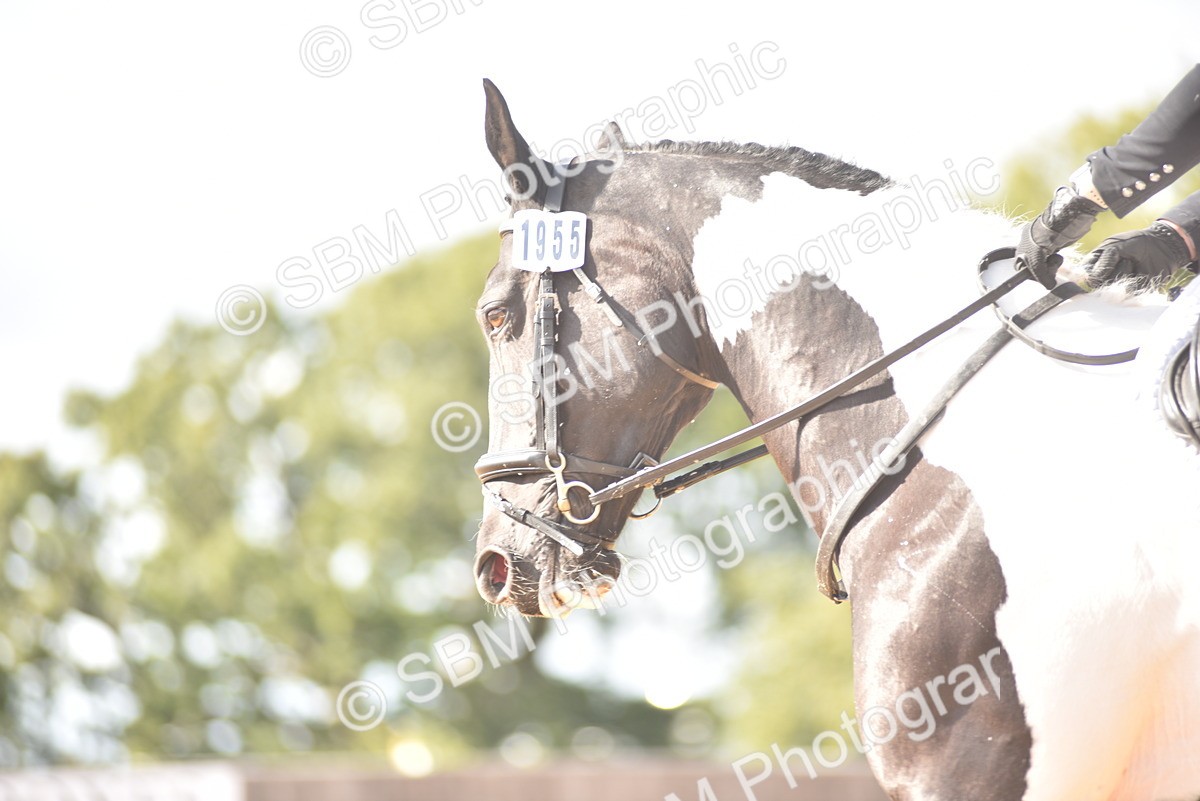 SBM_24305 - D4 - Small Tour Championship Intro 4