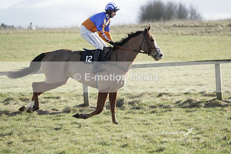 PtP 260223 1108 - South & West Wilts Point-to-Point Larkhill 26/02/23