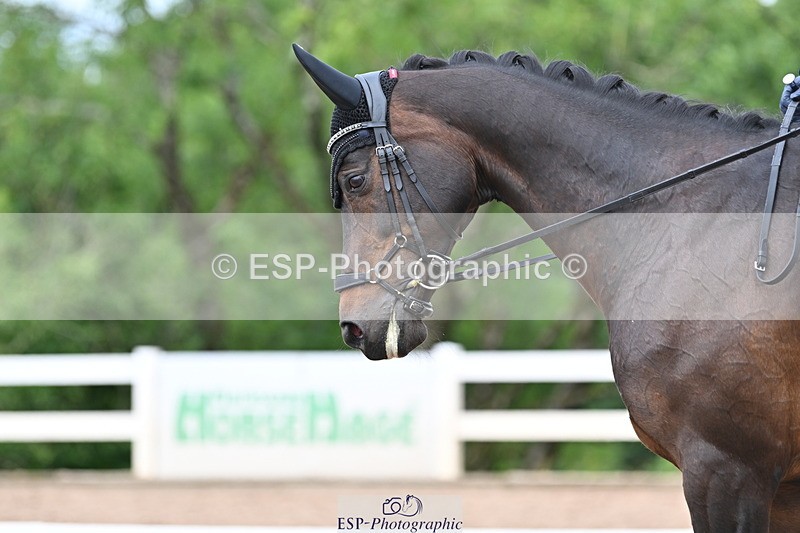 240622A-132002-10763 - Cls 37 BD Music Adv Medium