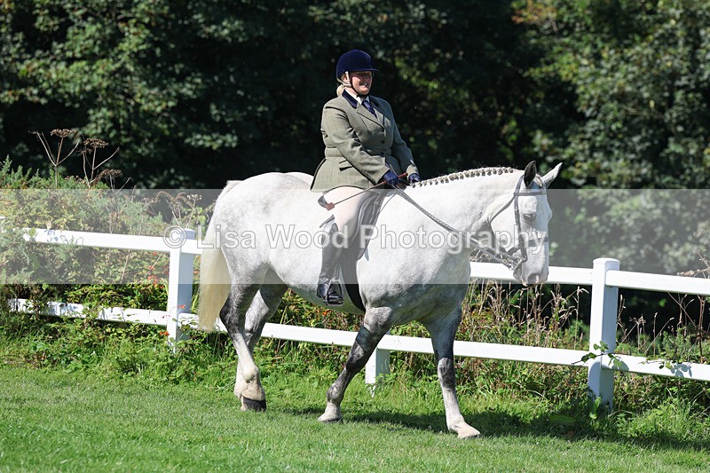 3E7A8319 - Class 4: Novice working Hunter