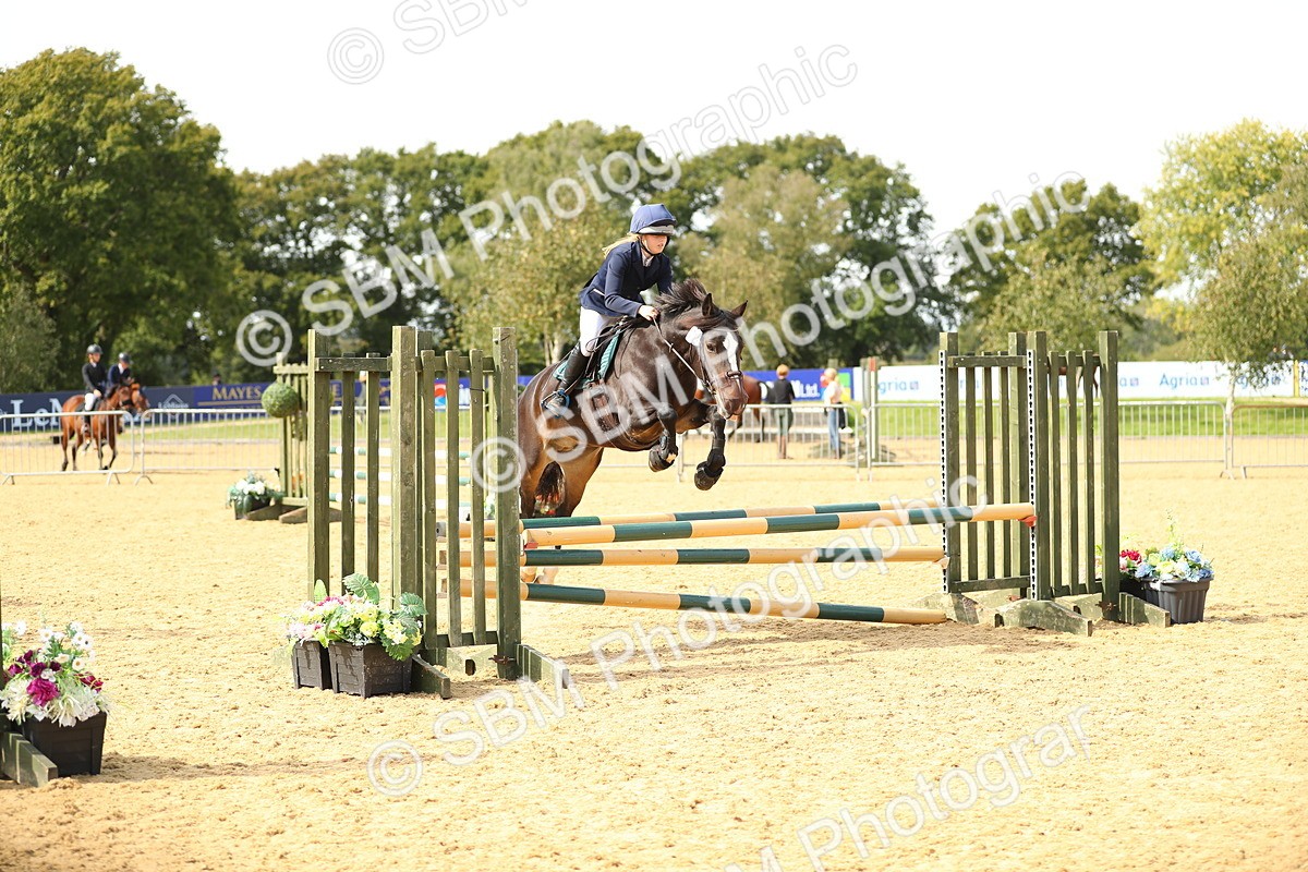 SBM_66128 - J17 - Junior Pony 80cm Championship