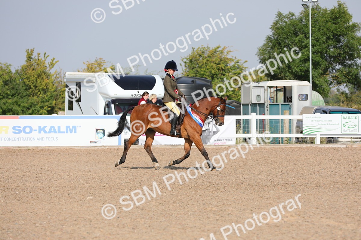 SBM_10946 - Class 304 Ridden Part Bred Horse/Pony