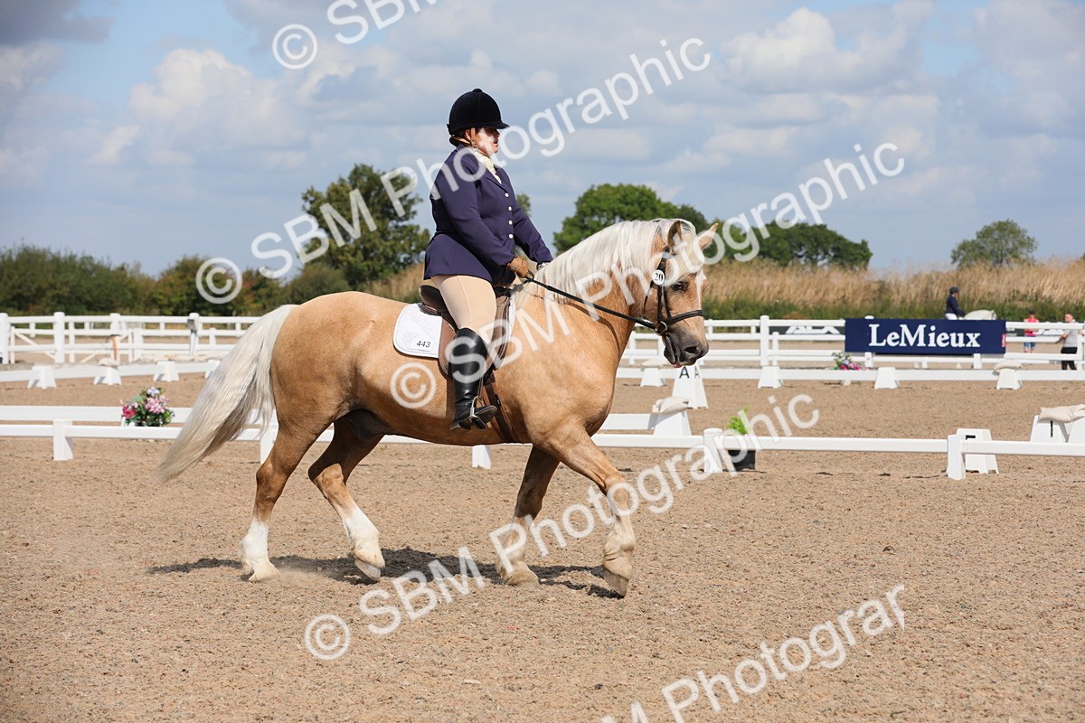 SBM_04015 - Class 31 Prelim 1