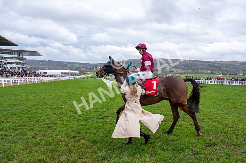 240126-Race 4-Favori De Champdou-4417 - Race 4