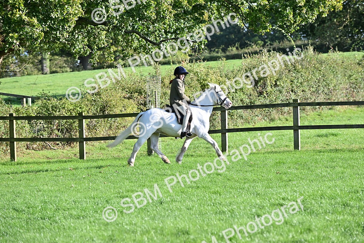 SBM_53001 - S23 - First Ridden Mountain & Moorland Pony