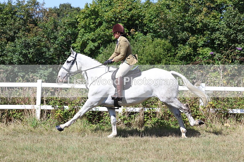 3E7A6440 - Working Hunter Championship