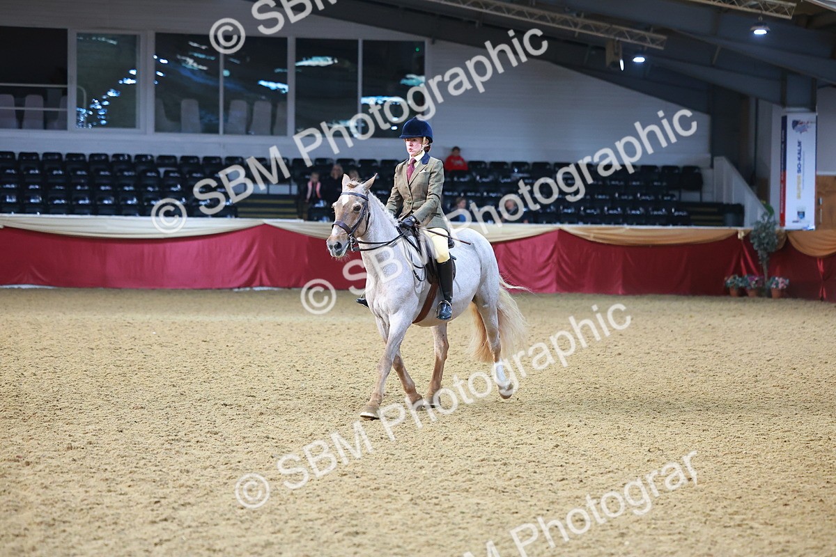 SBM_07685 - Class 101 - HOYS Veteran Qualifier - Ridden Diamond