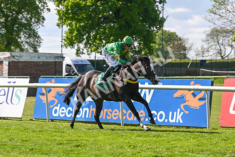 030525-Race 5-Savrola-3241 - Race 5