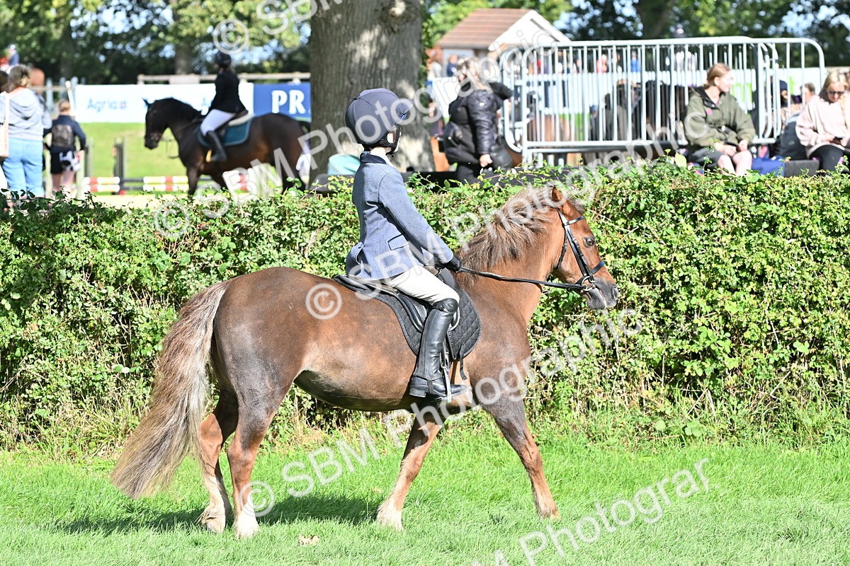 SBM_50234 - S21 - Novice & Newcomers First Ridden