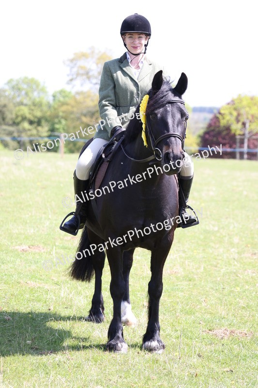 20250427-3308 - Class 33 - Best Pony 14.2hh and Under
