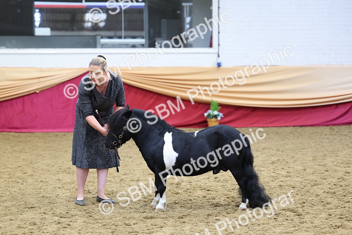 SBM_22913 - Class 903 - Supreme Final - IH Pre Vet