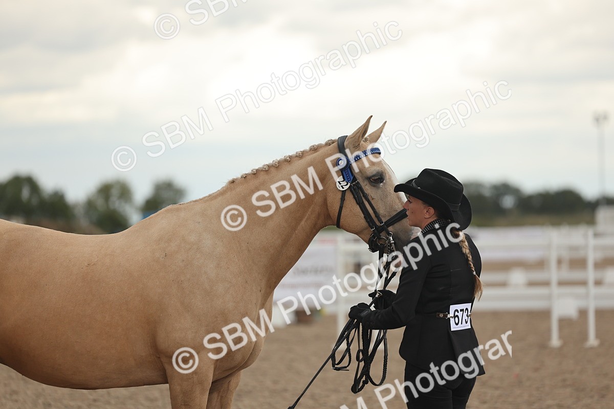 SBM_07662 - Class 26 - IH Foreign Breeds - Part Bred