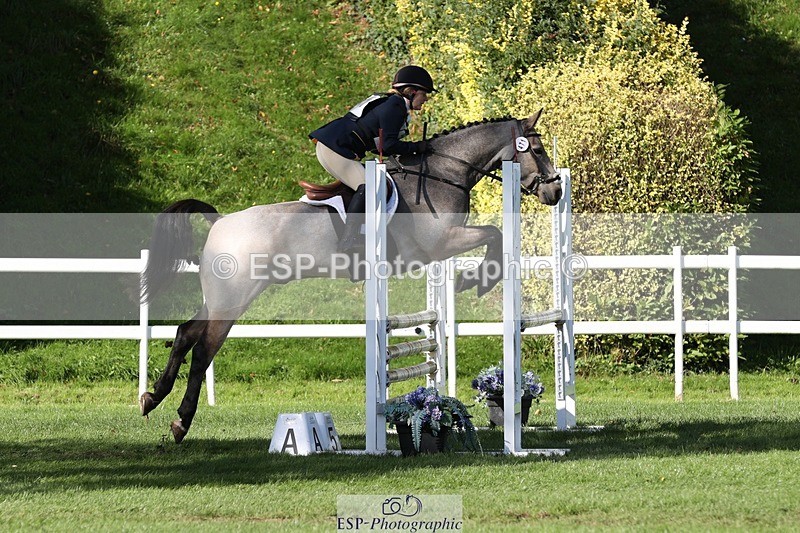 231022-124226-27295 - 471-LISCARROW.SHILOH-Justine.Walker-TrotUp+SJ