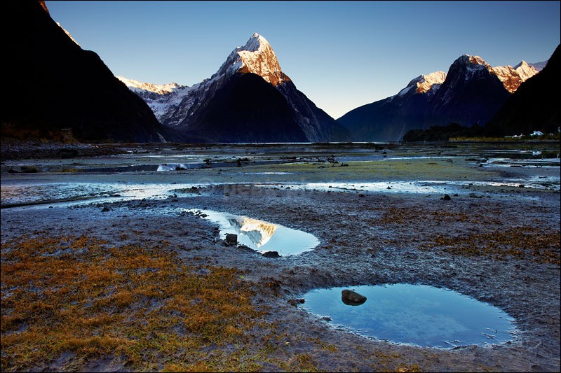 Milford Puddles - Photographs of New Zealand