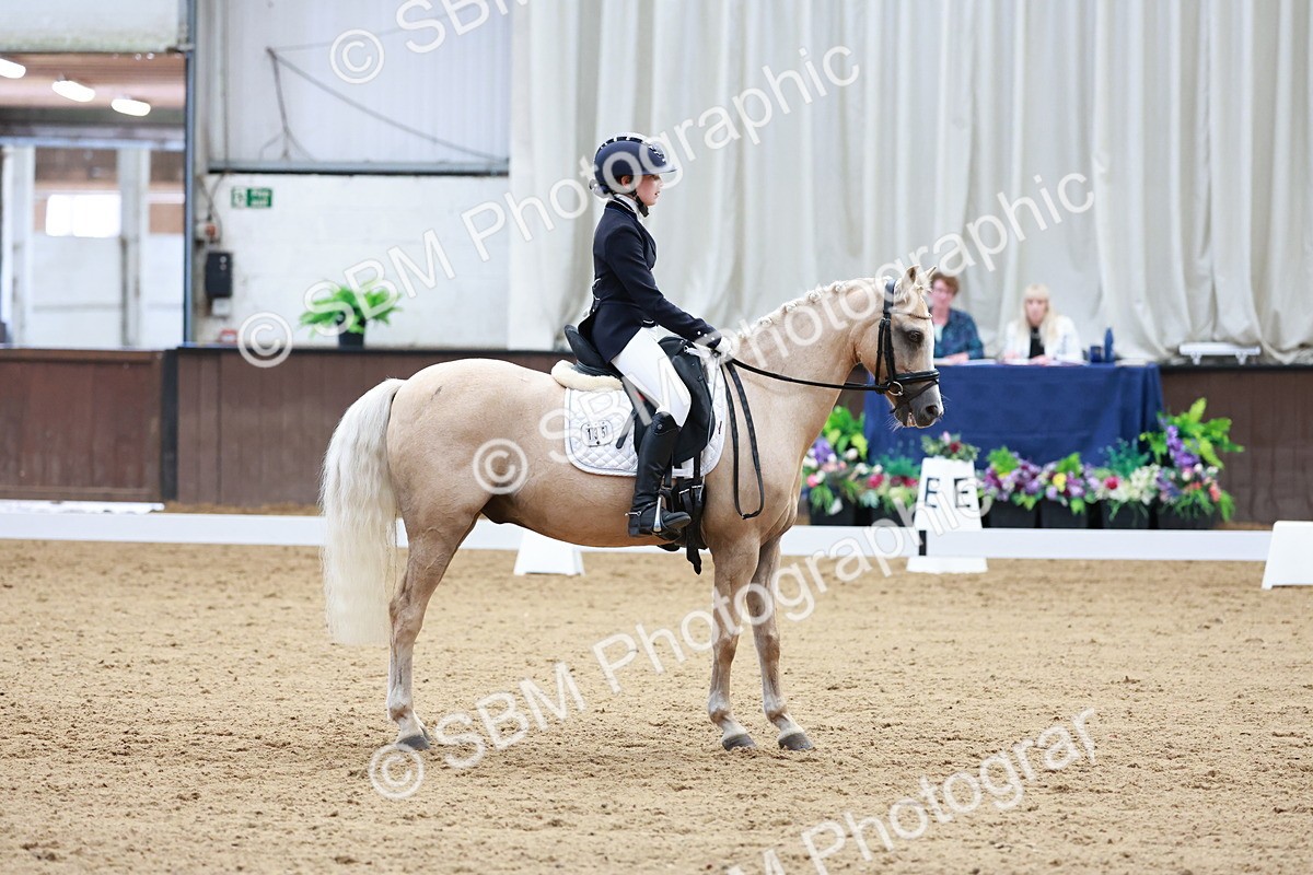 SBM_017377 - Class15 - FEI Pony
