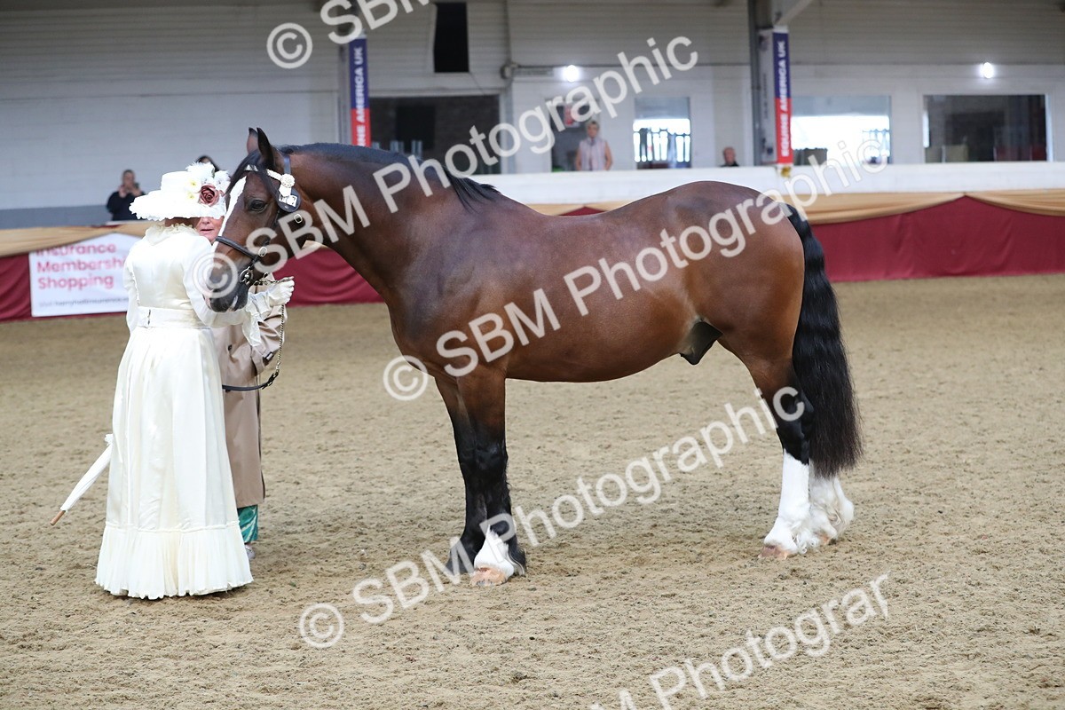 SBM_10775 - Class 103 IH Costume