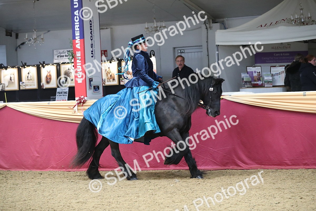 SBM_12226 - Class 107 Ridden Costume- Astride Adult (20+)