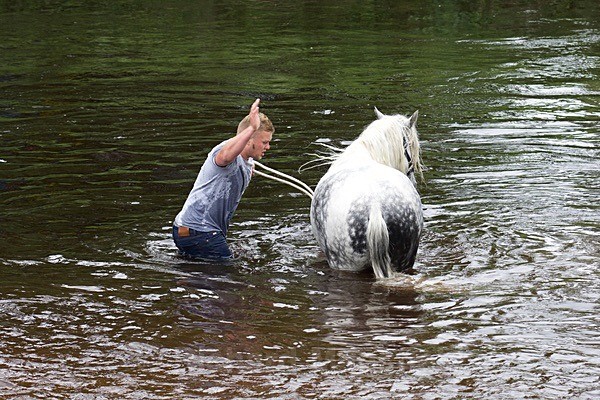  - Appleby Horse Fair