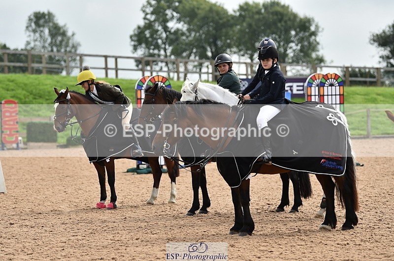 230902A-120608-00927 - Cls 2B Pony Small 80cm