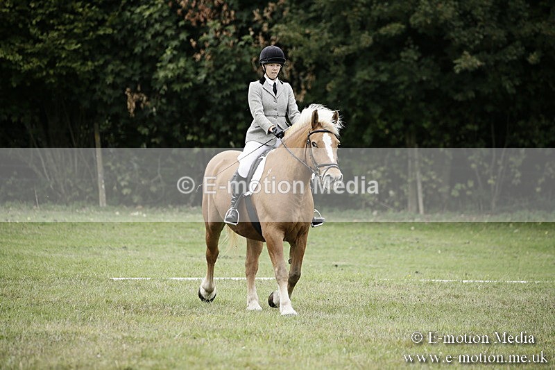 BVR080918 83 - BVRC Novice Dressage & CR 08/09/18