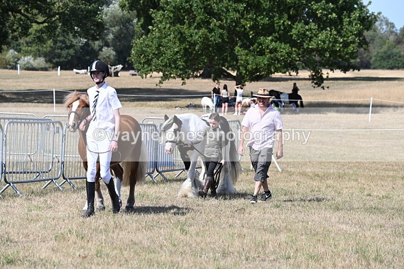 WJ6_9471 - Class 40 Cheekiest Pony/Horse