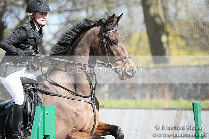 BVRC SJ 170319 404 - Bourne Valley Riding Club Showjumping 17/03/19