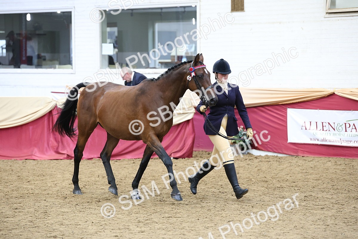 SBM_24082 - Class 905 - Supreme Final - Ridden Veteran